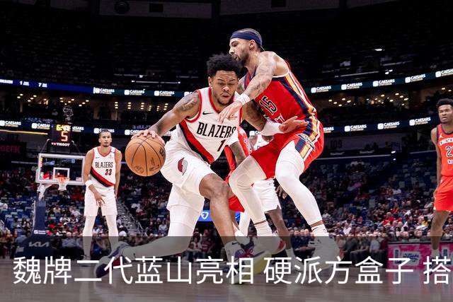 魏牌二代蓝山亮相 硬派方盒子 搭载2.0T插混动力